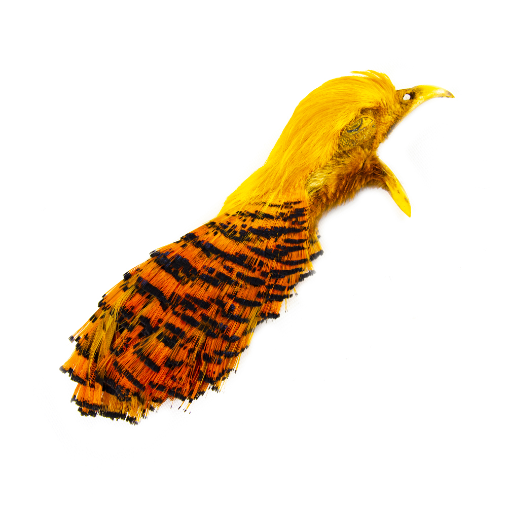 Shor Golden Pheasant Head