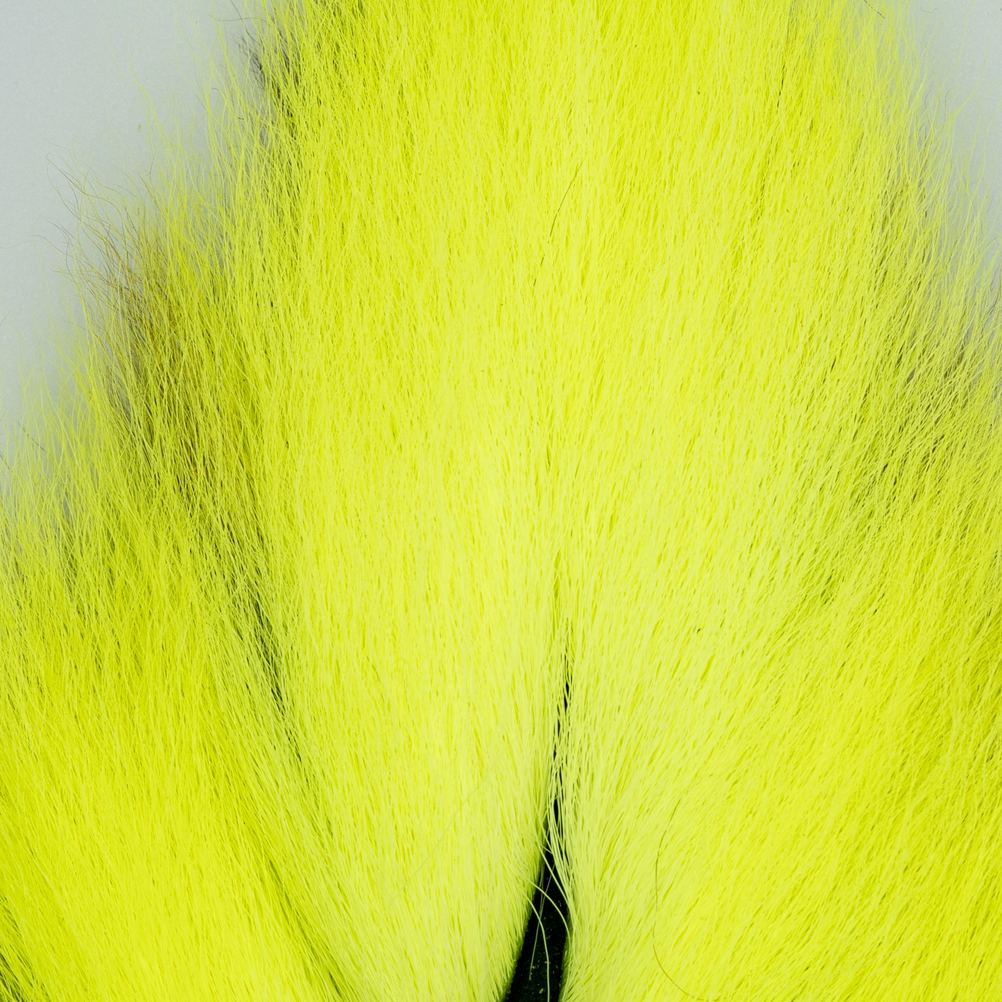 Shor Bucktail