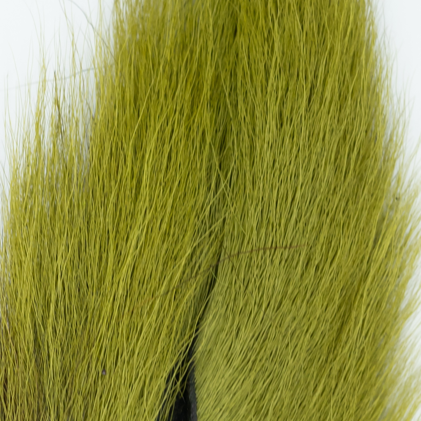 Shor Bucktail