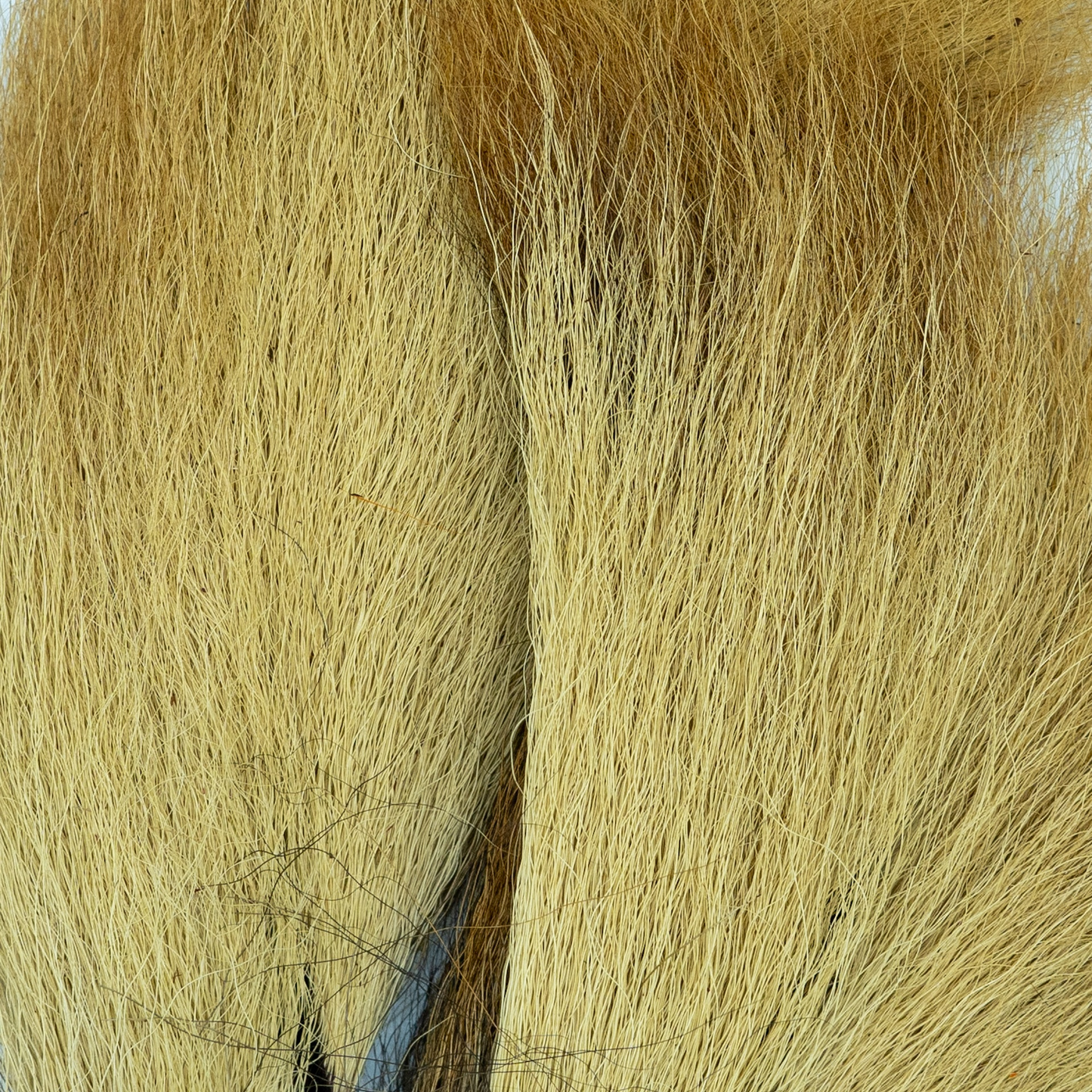 Shor Bucktail Trim