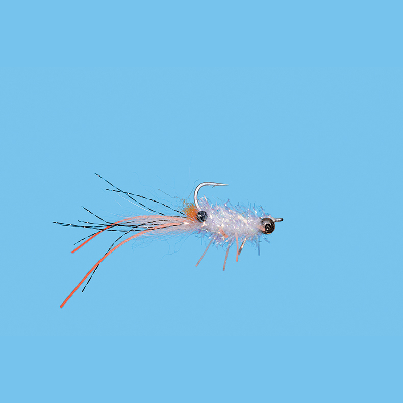 Pimp Shrimp