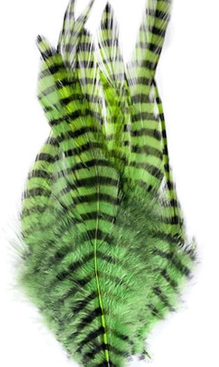 MFC Barred Saddle Hackle