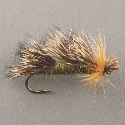 BC Tri-Wing Sedge