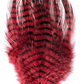 MFC Barred Saddle Hackle