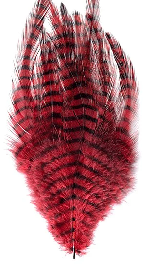 MFC Barred Saddle Hackle