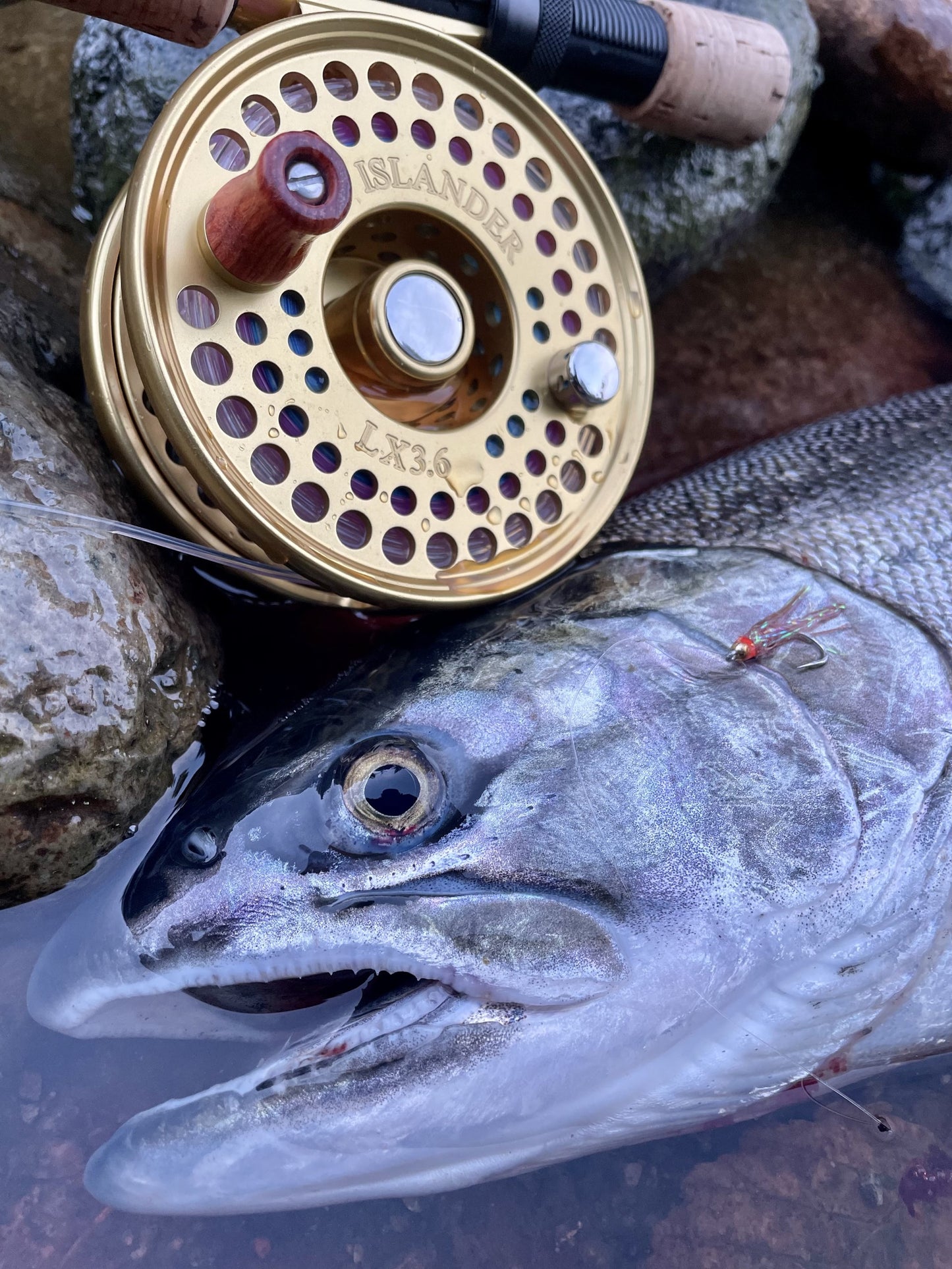 Pacific Angler Course:  Fly Fishing for Salmon in Rivers