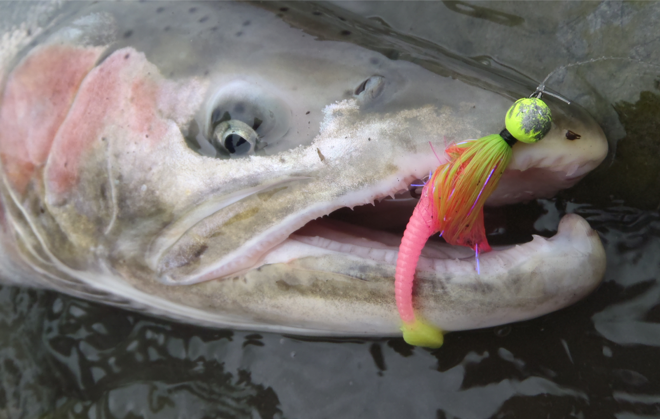 Pacific Angler Course:  Steelhead Float Fishing