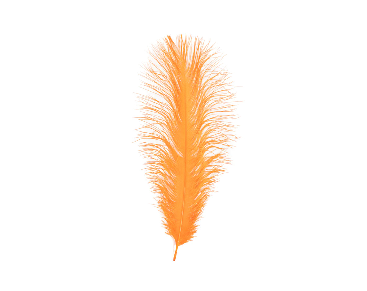 MFC Ostrich Plume 11"-13"